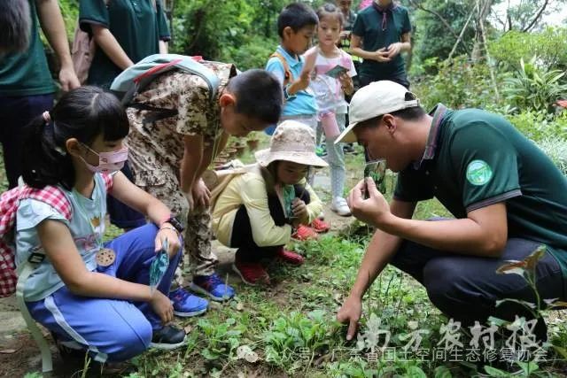 广东着力打造自然教育示范省2